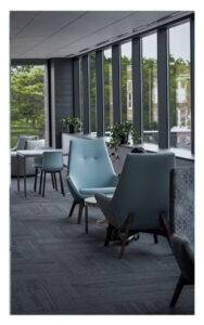 Carpet Cleaning Services A clean, pristine carpet in a modern setting, showcasing the results of professional carpet cleaning services, with the carpet appearing fresh, vibrant, and free of any stains or dirt.